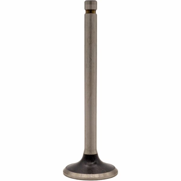 Válvula de Escape de Motor REXS-9572 STD