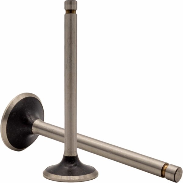 Válvula de Escape de Motor REXS-9572 STD - Imagen 3