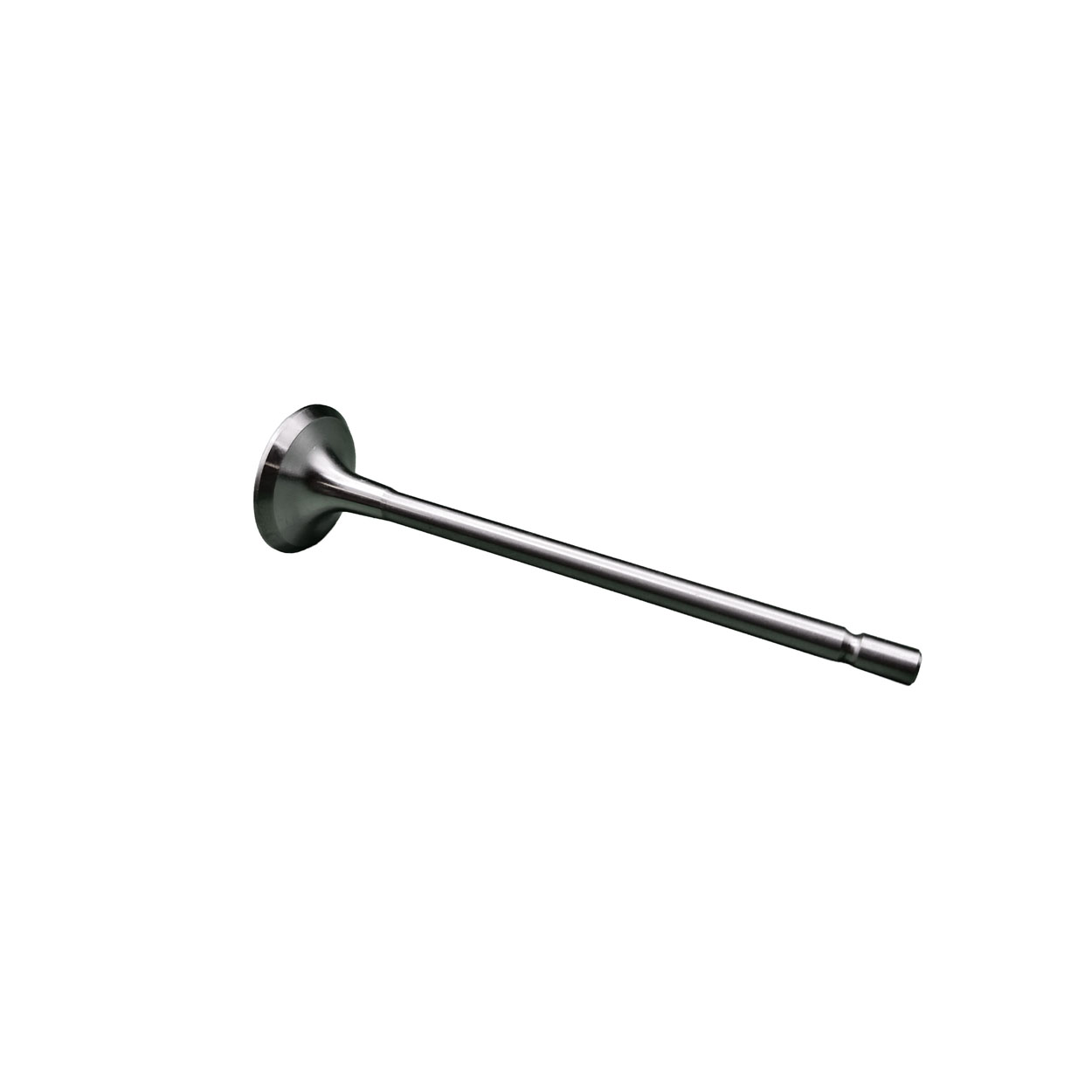 Válvula de Escape de Motor REXS-9840 - Imagen 3