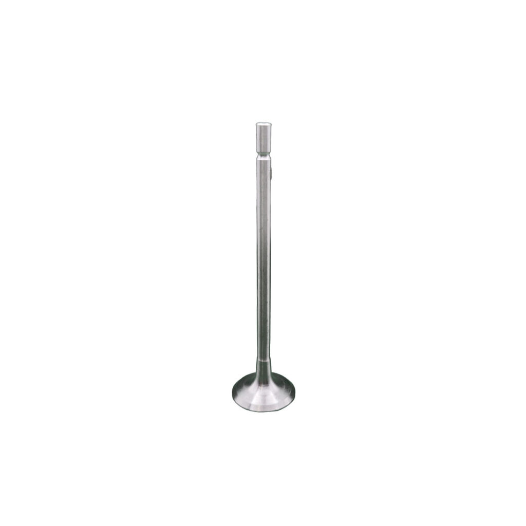 Válvula de Escape de Motor REXS-9840