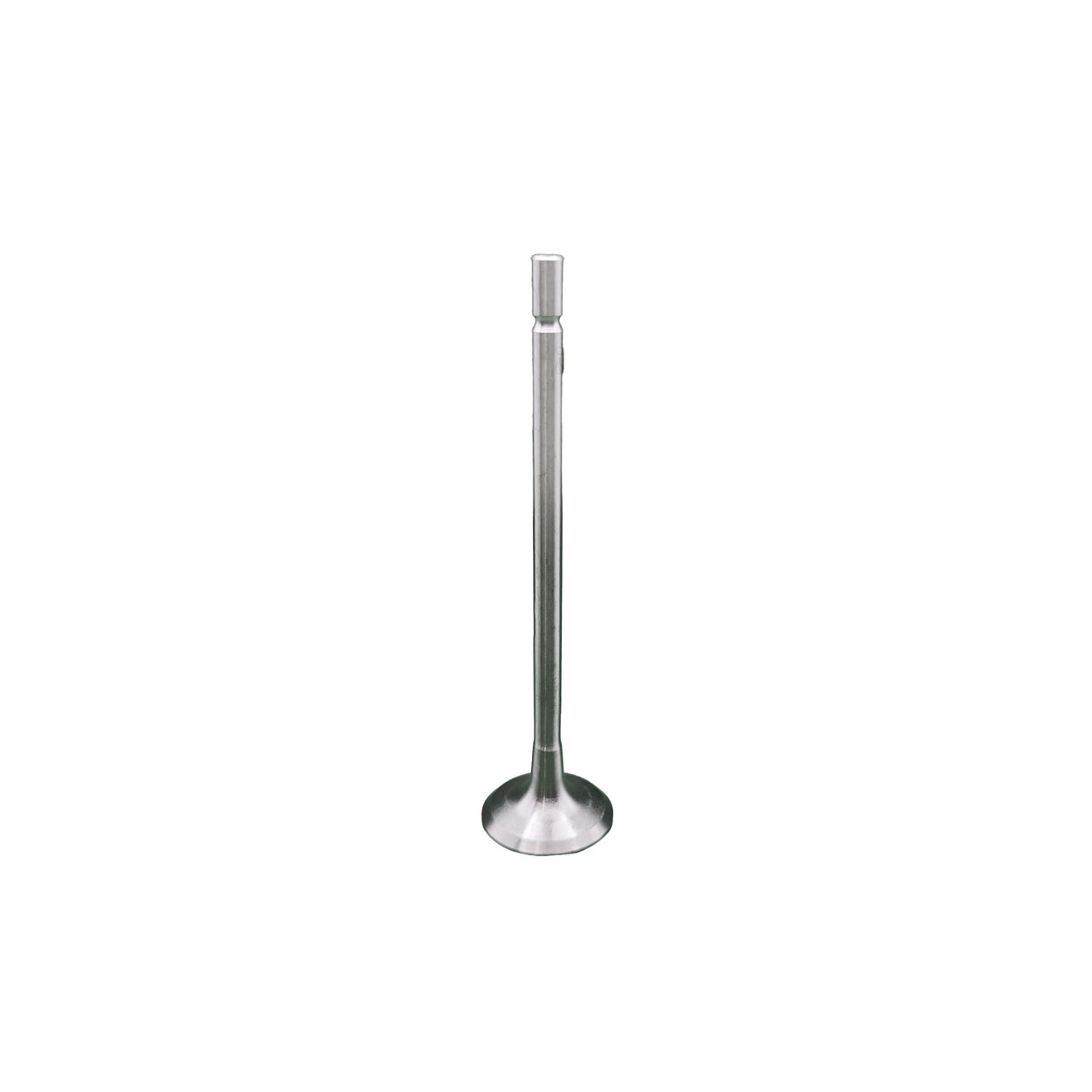 Válvula de Escape de Motor REXS-9840