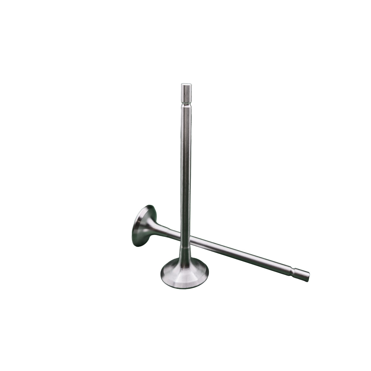 Válvula de Escape de Motor REXS-9840 - Imagen 2