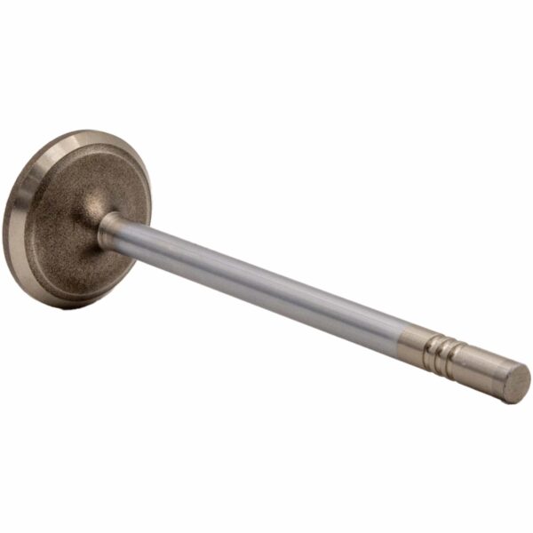 Válvula de Escape de Motor REXS-9848 STD - Imagen 2
