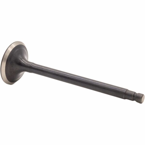 Válvula de Escape de Motor REXS-9882 STD - Imagen 2