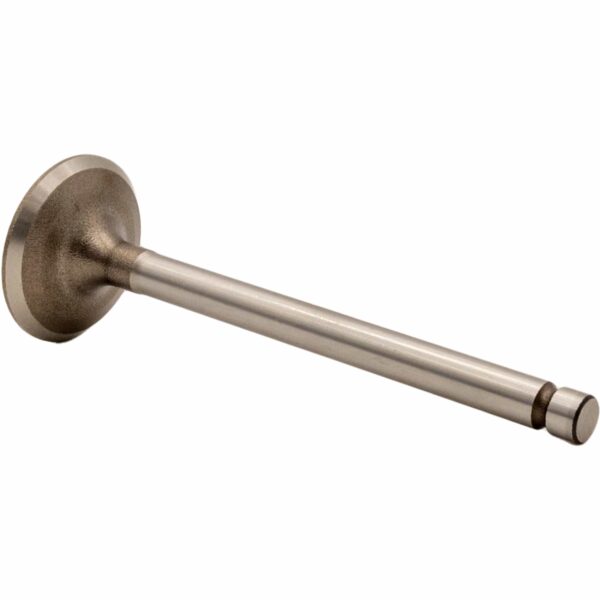 Válvula de Escape de Motor REXS-9940 STD - Imagen 2