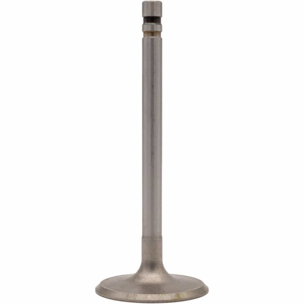 Válvula de Admisión de Motor REXV-2552 STD