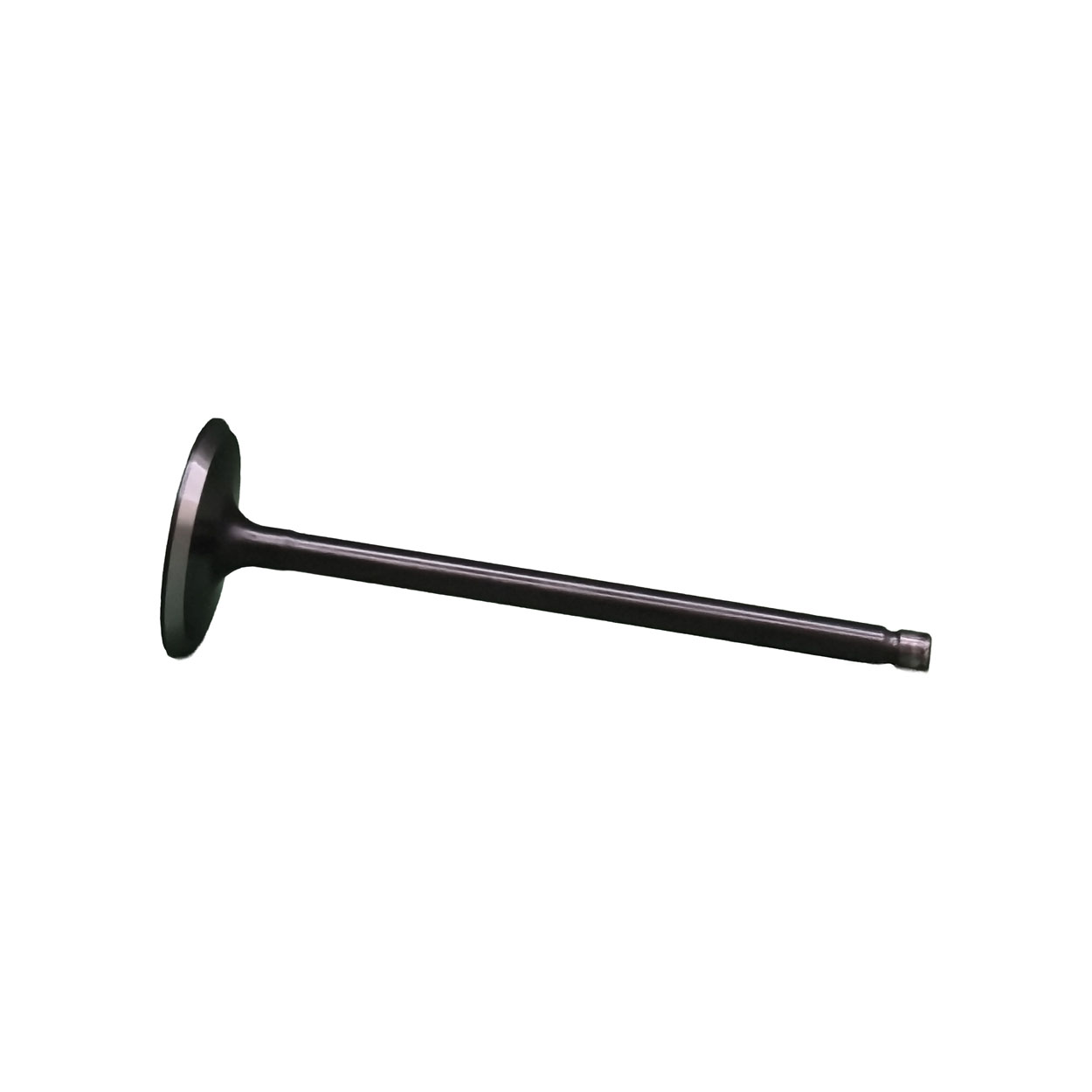 Válvula de Admisión de Motor REXV-7059 - Imagen 3