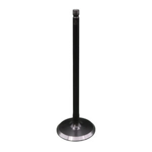 Válvula de Admisión de Motor REXV-7059