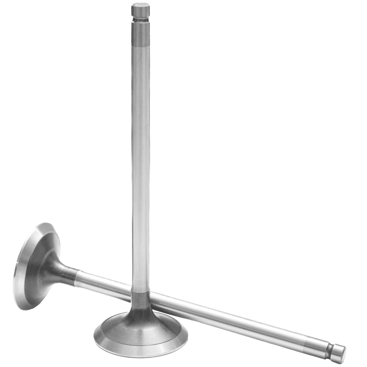 Válvula de Admisión de Motor REXV-7079 - Imagen 3