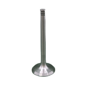 Válvula de Admisión de Motor REXV-9658