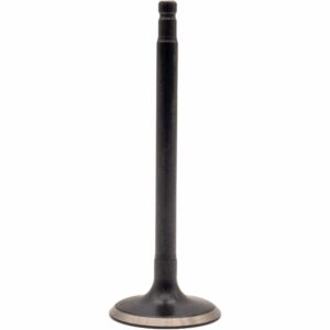 Válvula de Admisión de Motor REXV-9881 STD