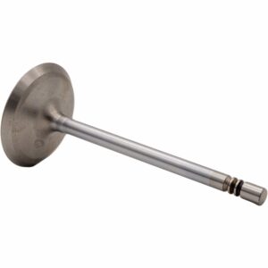 Válvula de Admisión de Motor REXV-9895