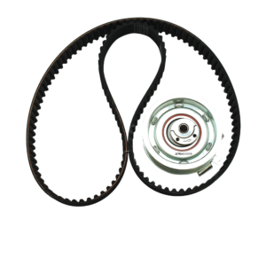 Kit de banda de distribución REX-BK296